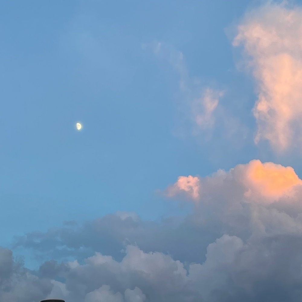 Meet your Posher, Evie